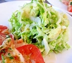 水菜と白菜とアボカドのサラダ